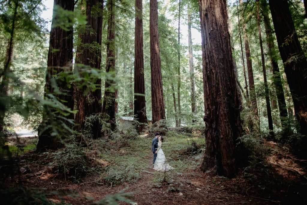 Couple Eloping in the Redwoods of Glen Oaks Big Sur California