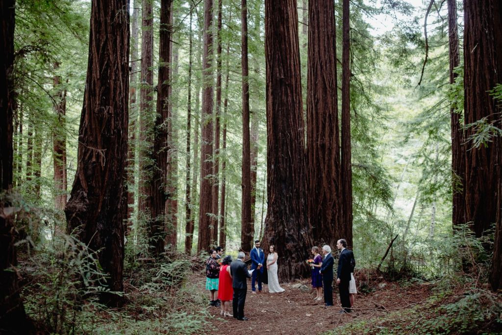 Small Wedding at Glen Oaks in Big Sur Surrounded by Redwood Trees