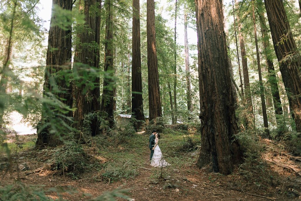 Couple kissing in the Redwoods at Glen Oaks in Big Sur